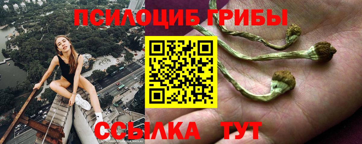 Рыбинск  Псилоцибиновые грибы мухоморы  Вход с VPN 